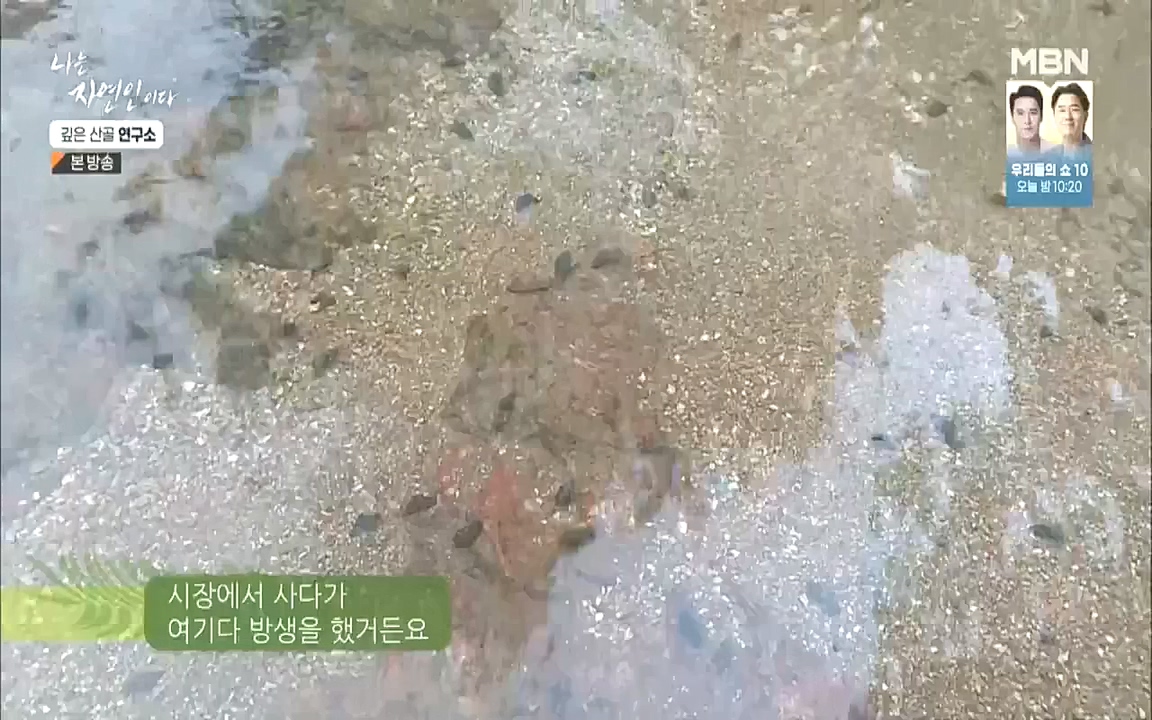 나는 자연인이다.E523.221013p.WANNA.mp4_20221013_201140.332.jpg