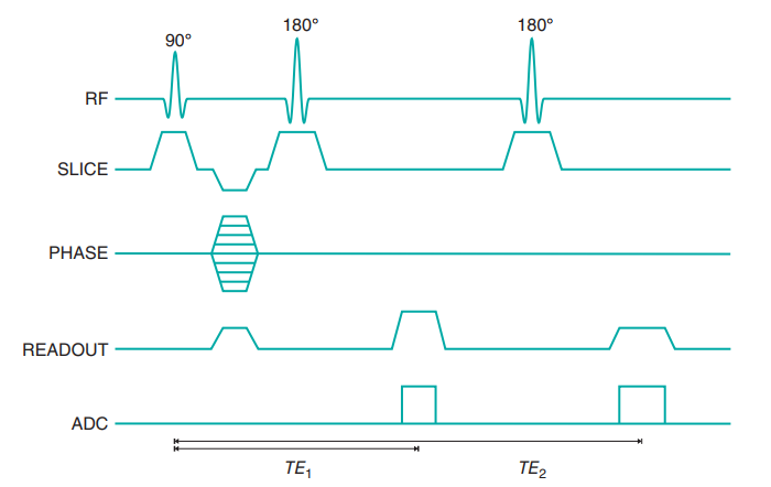standard multiecho spin echo 시퀀스의 타이밍 다이어그램