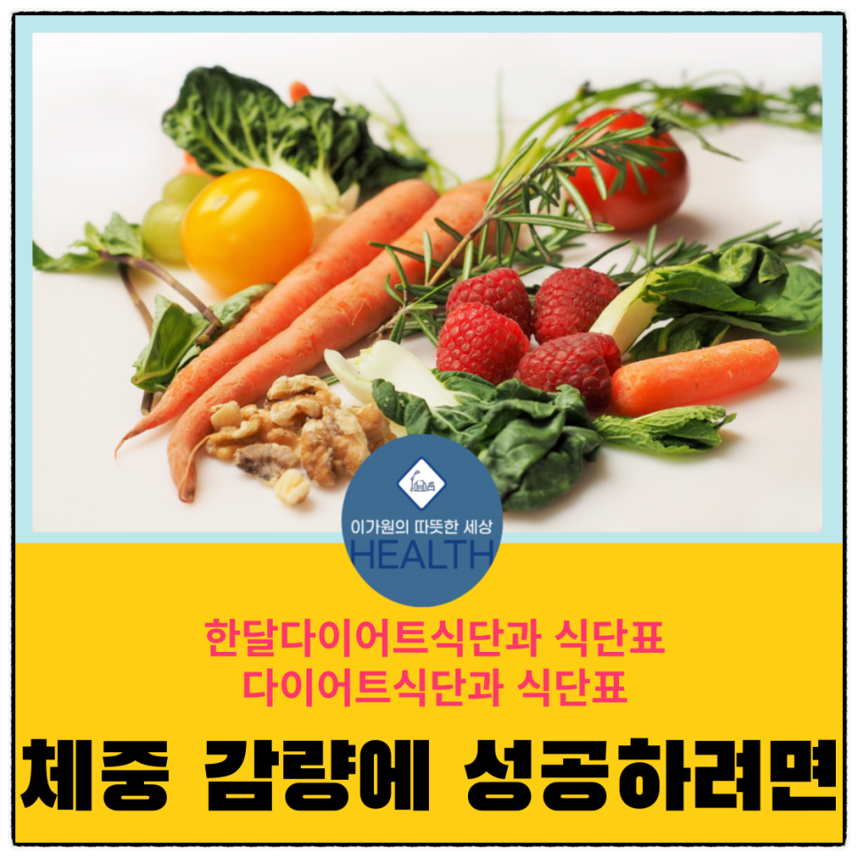  한달 다이어트 식단과 식단표,다이어트식단과 식단표
