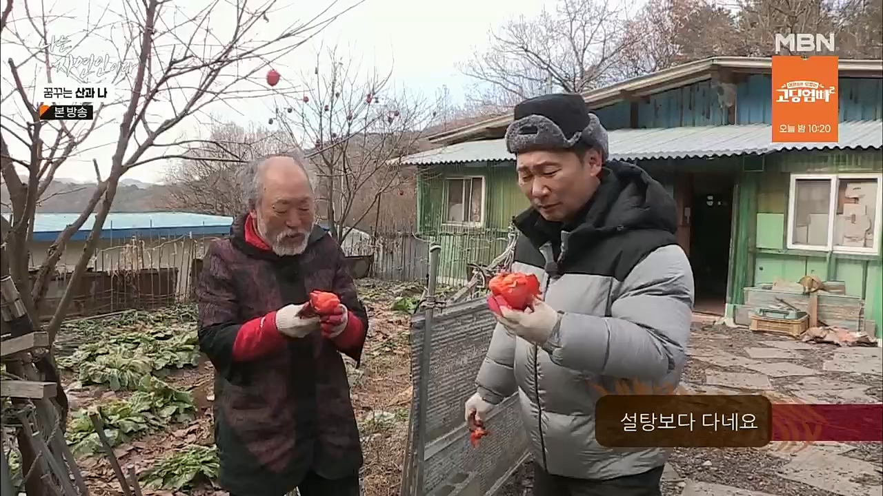 나는 자연인이다.E534.221229p.H264-F1RST.mp4_20221229_200027.660.jpg