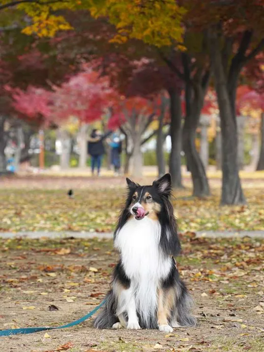 평화의공원