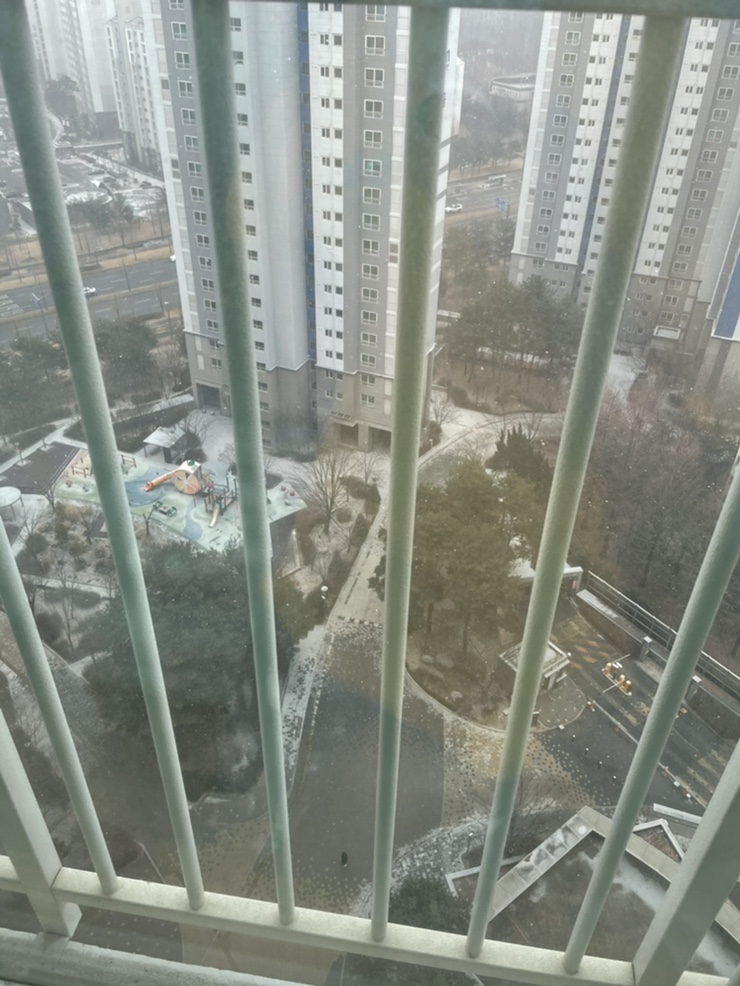 아래어금니가 제제네 육아일기(+482-485days), 연휴 끝 / 밥태기 끝 ? 68