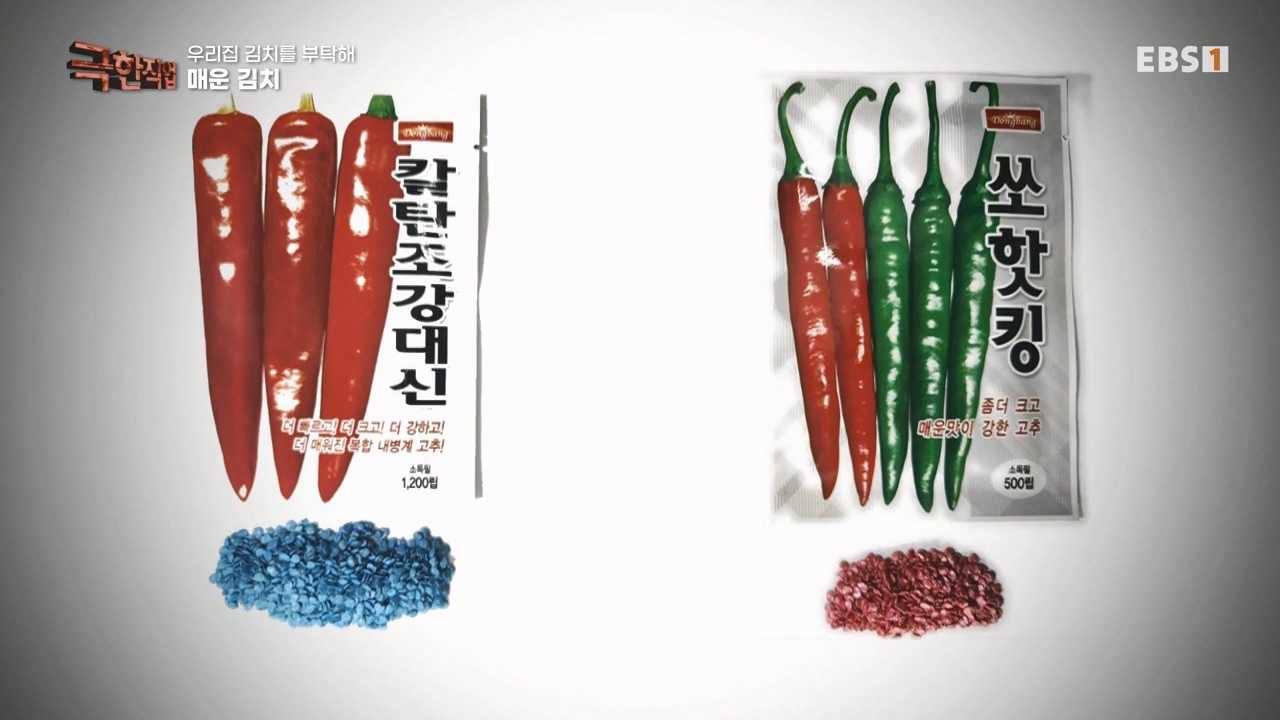 TV - 전 국민의 평생학교 EBS우리 집 김치를 부탁해.mp4_20231228_201302.718.jpg