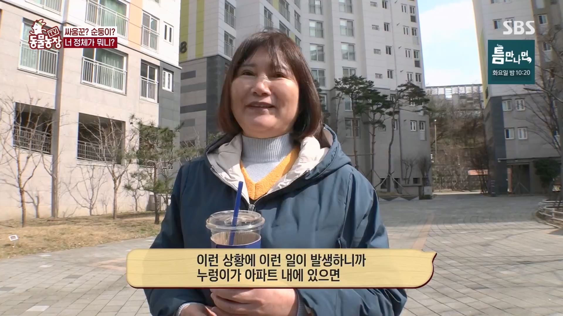 TV 동물농장.E1170.240505p.H264-F1RST.mp4_20240505_153819.406.jpg
