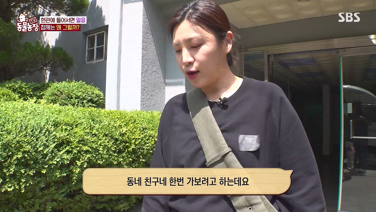 TV 동물농장.E1177.240624p-NEXT.mp4_20240623_163758.135.jpg