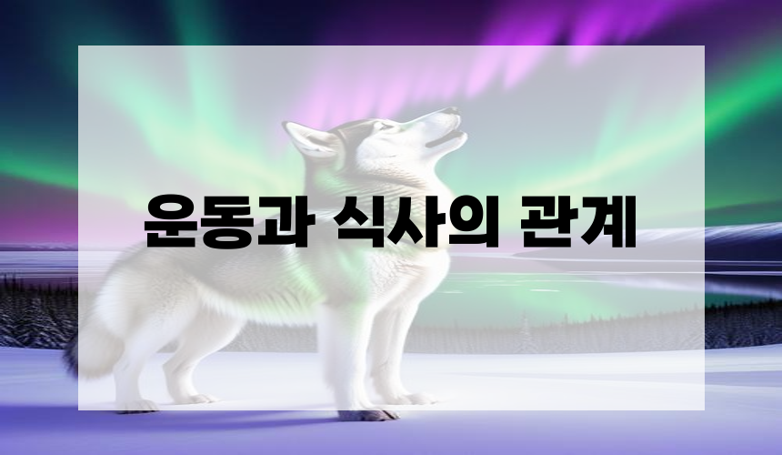 운동과 식사의 관계