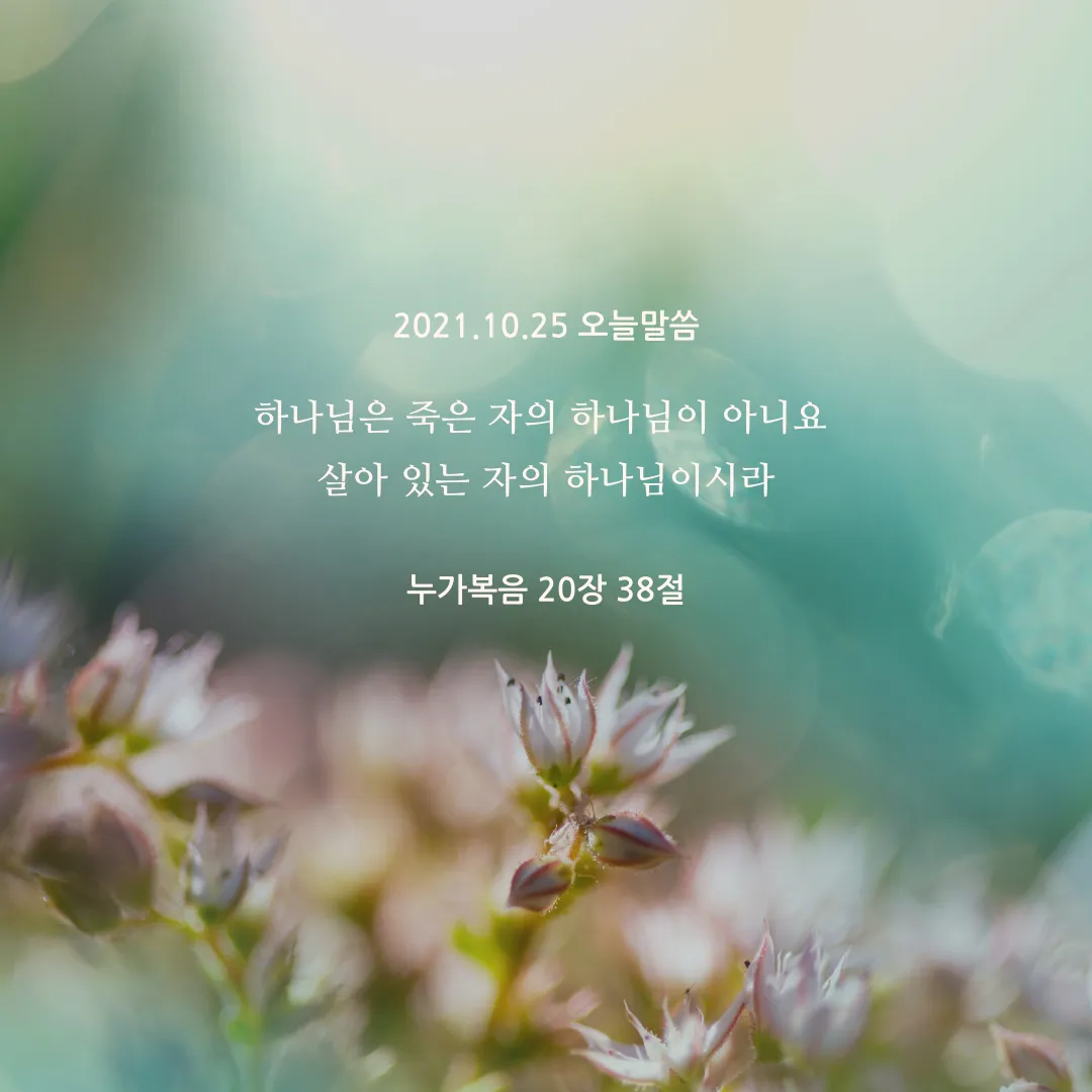 권위 전쟁 누가복음 20장 큐티 매일성경_3