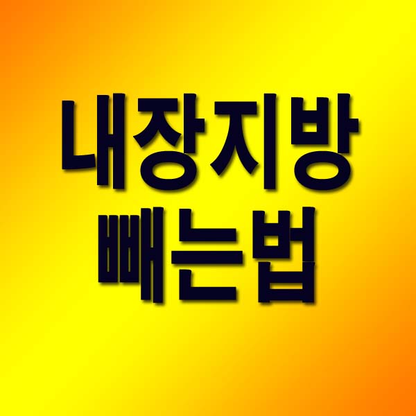  내장지방 빼는법 13가지