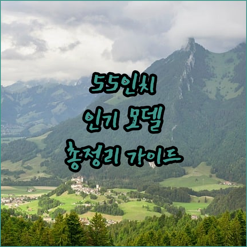 스마트 TV 구매 가이드 삼성 55인