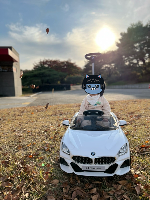  유모차 안타는 아기 꿀템!  대호토이즈 BMW 푸쉬카