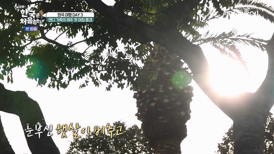어서와 한국은 처음이지.E270.230706p.WANNA.mp4_20230707_205044.158.jpg