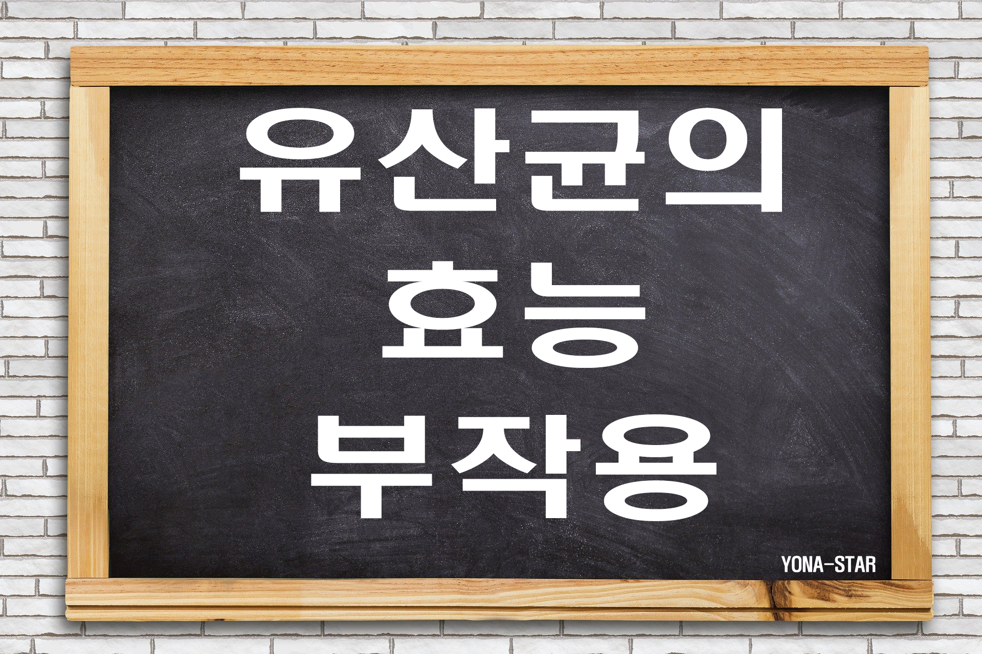  유산균의 효능과 부작용
