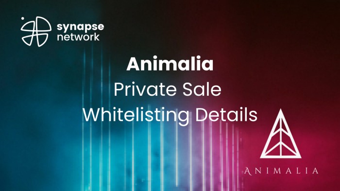  [Synapse Network] Animalia 프라이빗 세일 디테일