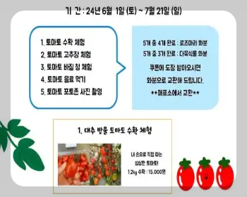 율봄식물원 토마토 시즌_2