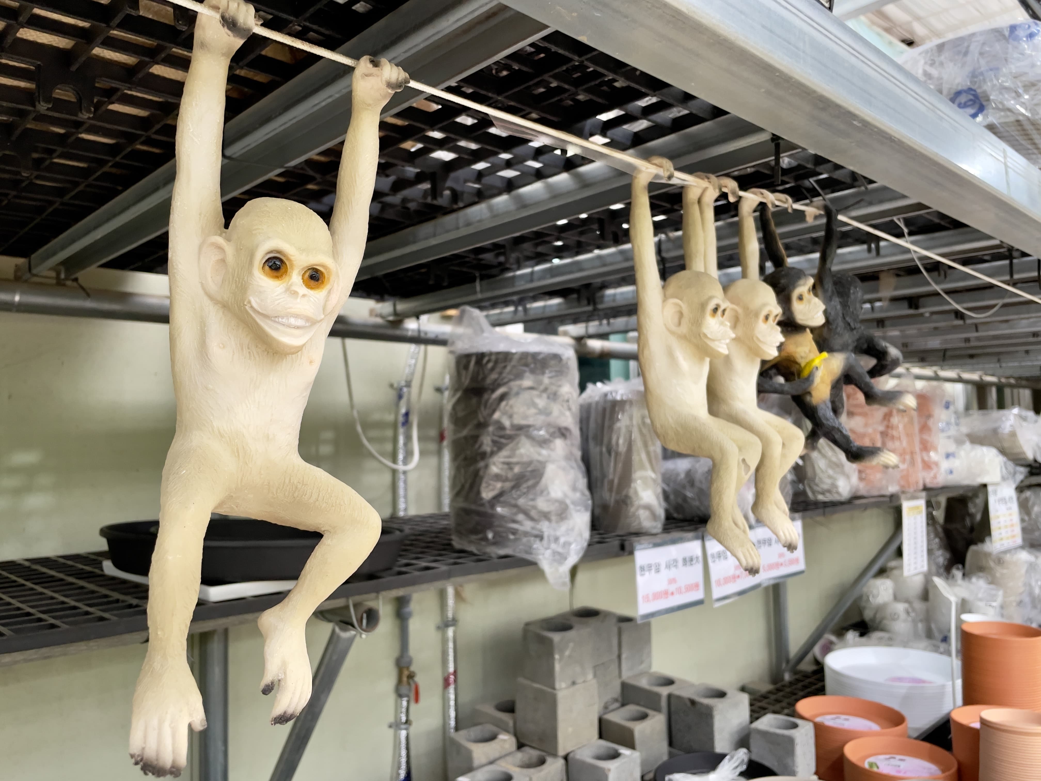 진열된 가드닝 도구들 위로 매달려 있는 원숭이 인형들
