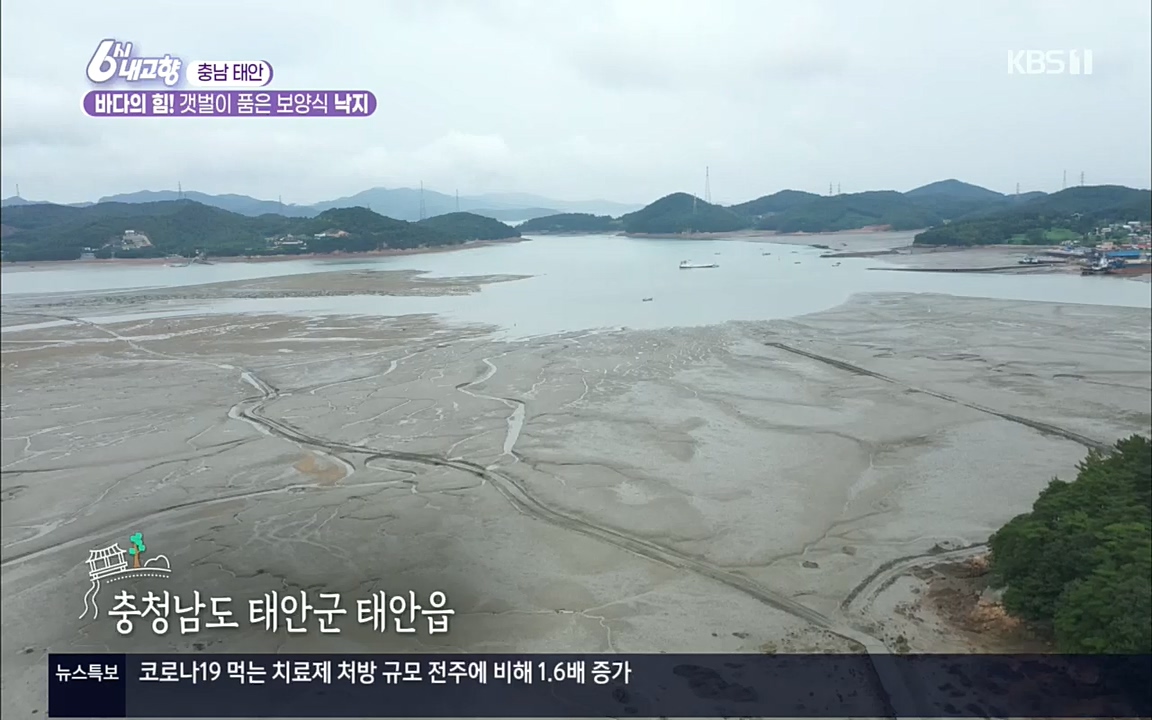 6시 내고향.E7596.220813p.H264-F1RST.mp4_20220814_172954.983.jpg