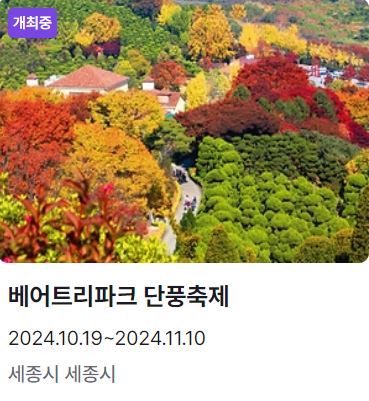 11월 축제 가볼 만한 곳 일정표 베스트 10