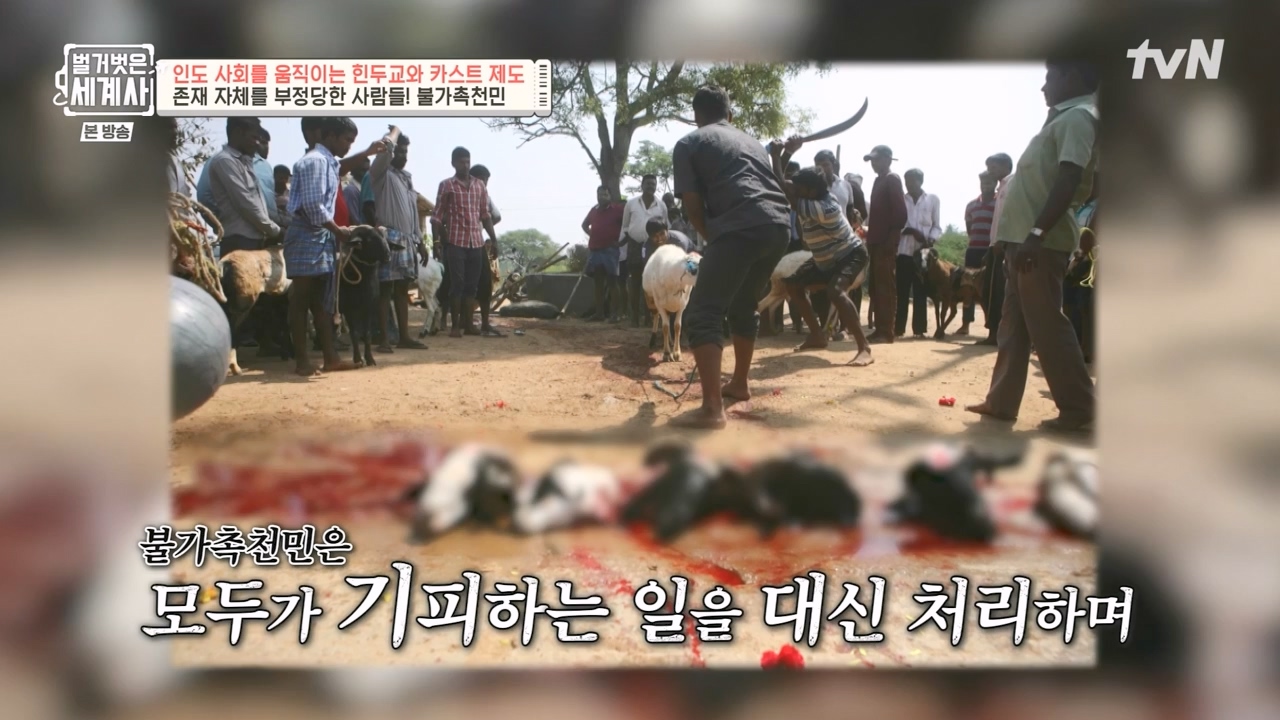 벌거벗은 세계사.E115.230906p-NEXT.mp4_20240406_181743.444.jpg