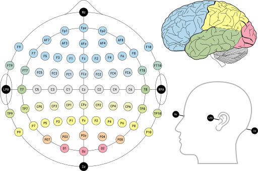 EEG