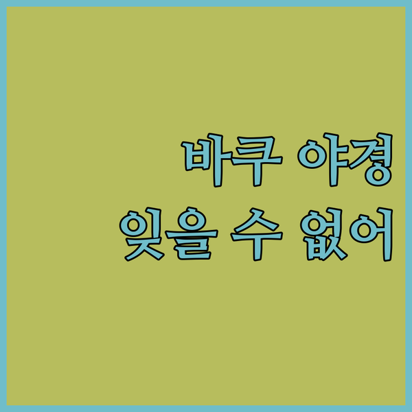 페어몬트 바쿠 플레임 타워 전망은? 