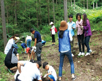 함양산삼축제_11