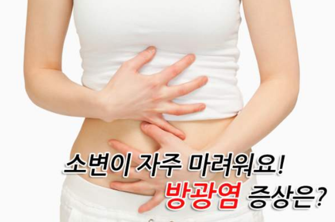  소변이 자주 마려운 증상