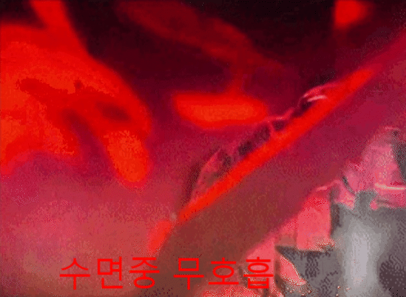  [무호흡증] 수면중 또는 생활중, 공황 발작, 공황 장애