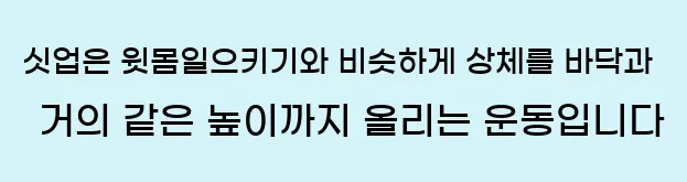  싯업은 윗몸일으키기와 비슷하게 상체를 바닥과 거의 같은 높이까지 올리는 운동입니다.