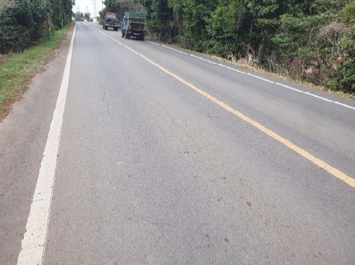 제주도 토지경매 임야경매 서귀포시 17