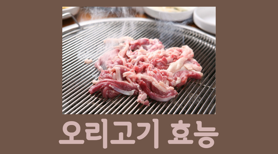  나만 모르는 오리 고기 효능