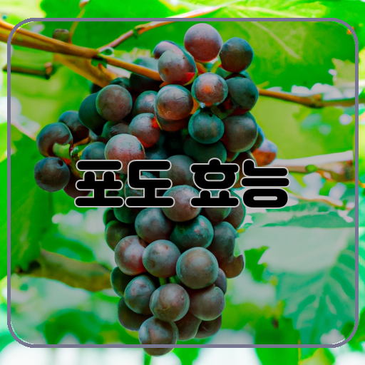 건강-(Health)-항산화작용-(Antioxidant)-혈액순환-(Blood-circulation)