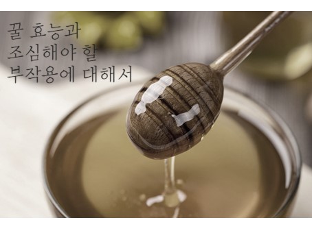  꿀효능 총정리 + 조심해야할 부작용 알아보기