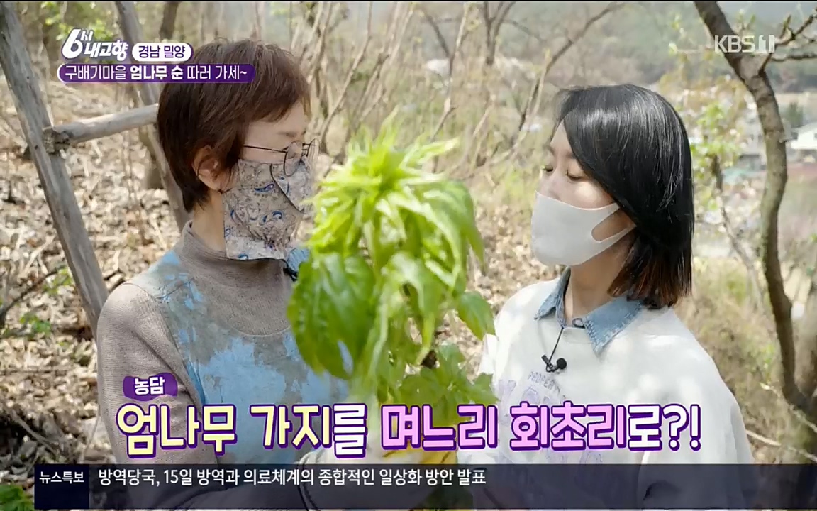 6시 내고향.E7510.220414p.H264-F1RST.mp4_20220419_182132.557.jpg