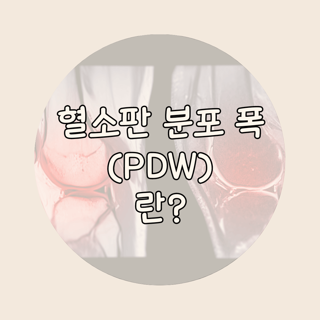 혈소판 분포 폭 PDW 정상수치 및 높으면 낮으면 알아보기