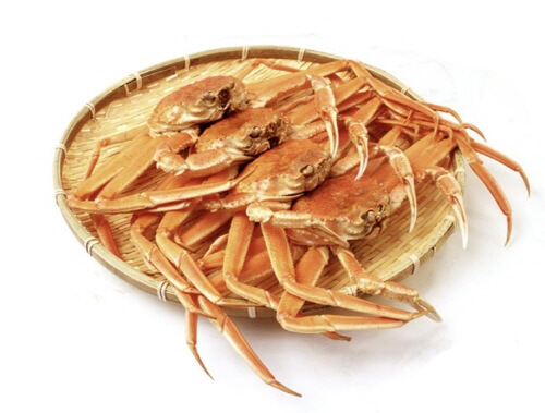  대게 종류 영덕대게 박달대게 홍게 킹크랩 특징 차이점