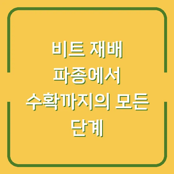 비트 재배 파종에서 수확까지의 모든 단계