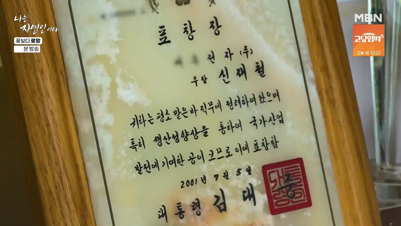 나는 자연인이다.E608.240606p-NEXT.mp4_20240606_162143.601.jpg