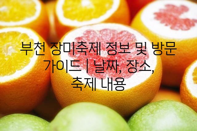 랜덤126