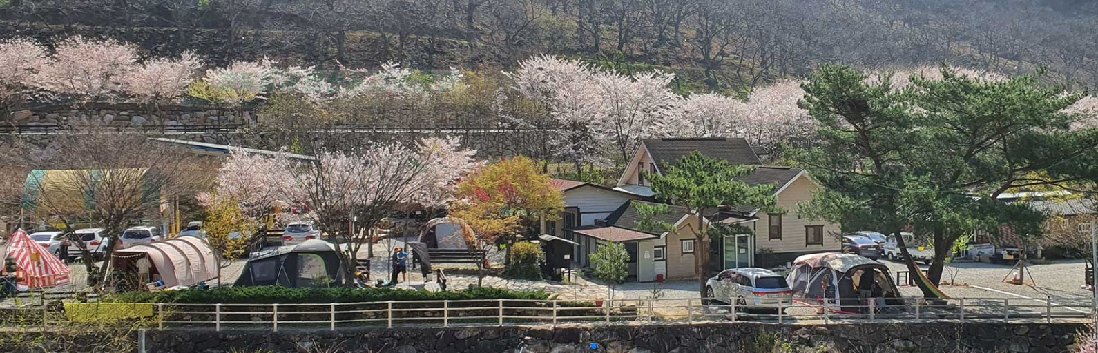 무릉도원 캠핑장 이미지
