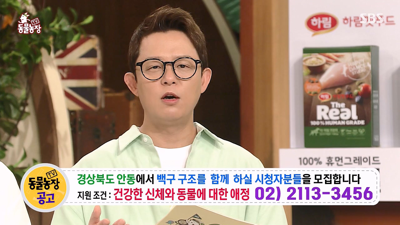 TV 동물농장.E1138.230918p-NEXT.mp4_20230917_174255.404.jpg