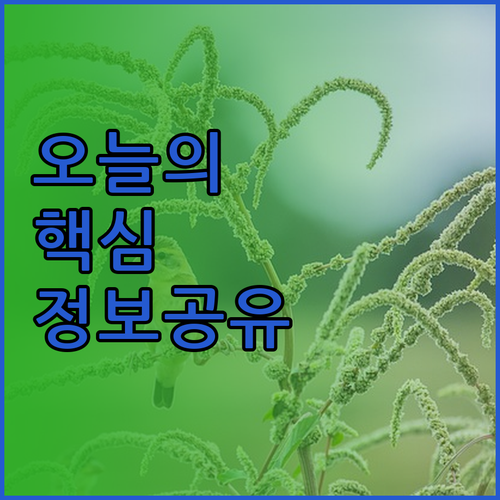 바투파핫 여행 준비 완료 리멤버 비즈