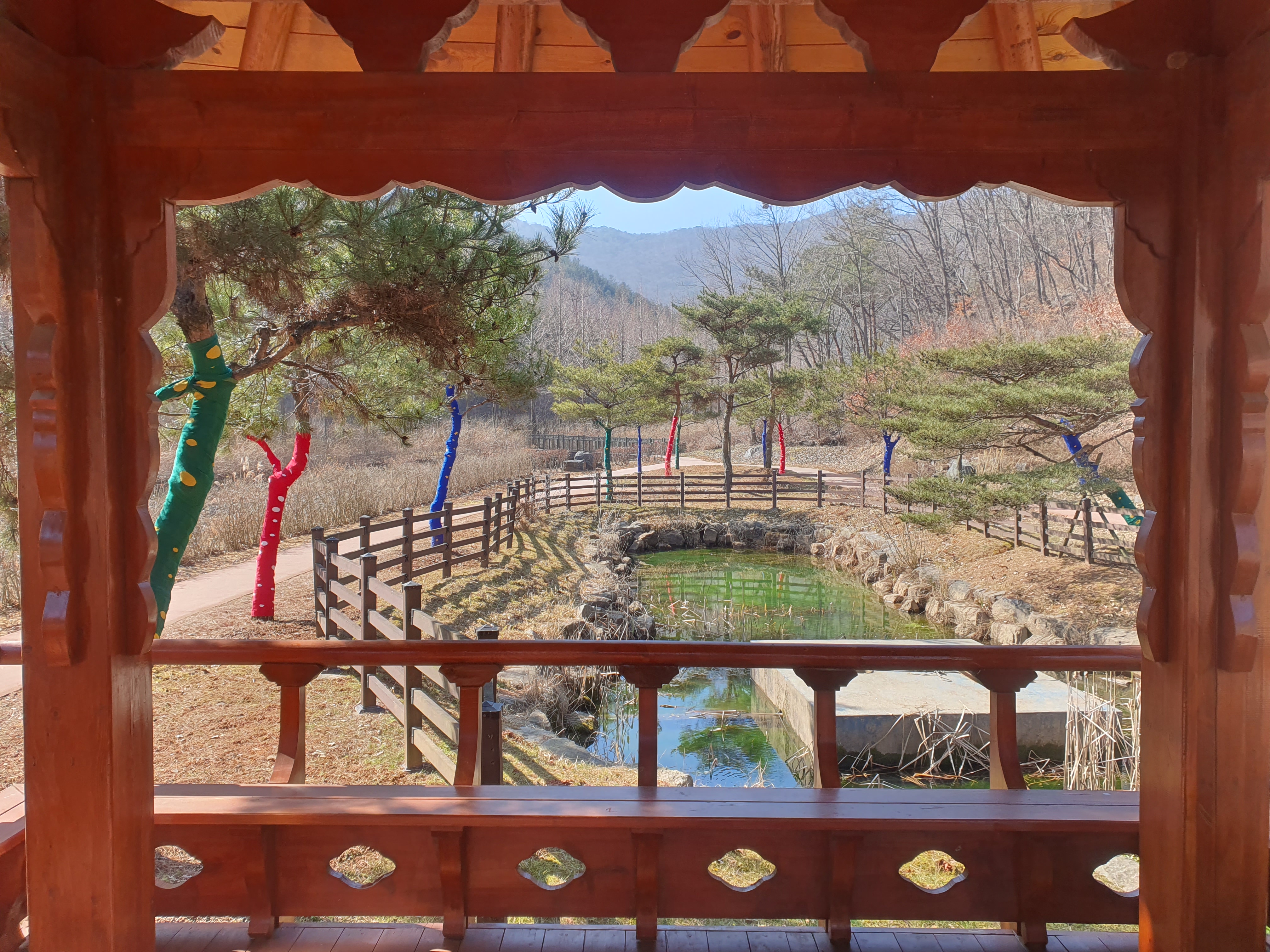 보령 무궁화 수목원 봄 여행