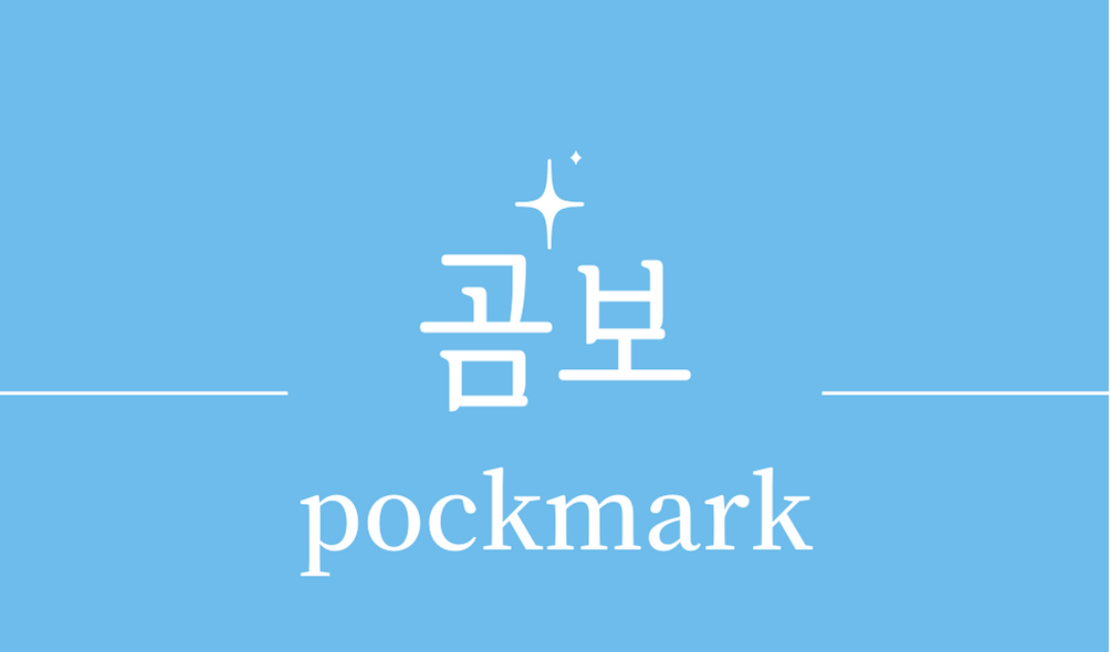 &#39;곰보(pockmark)&#39;