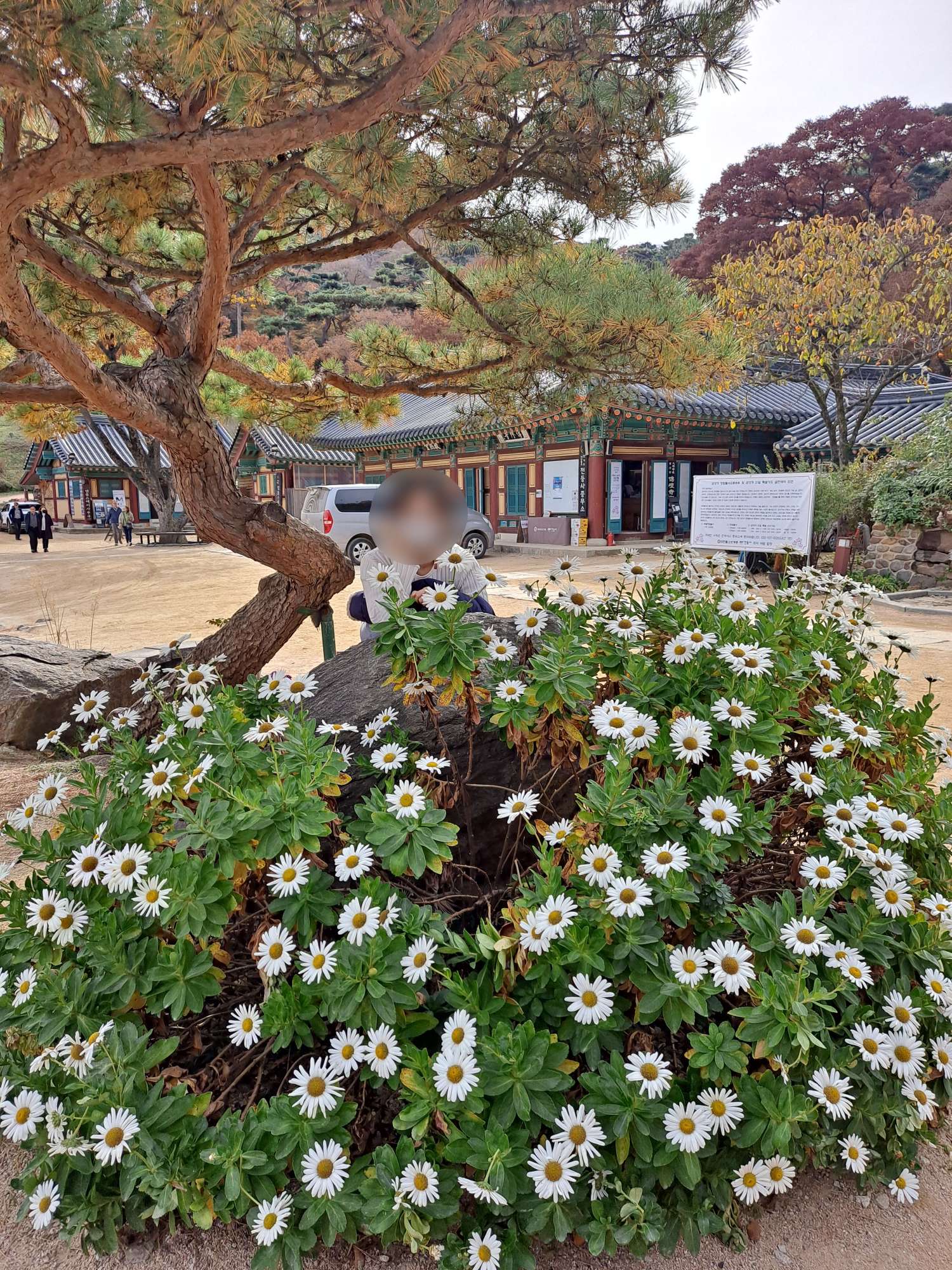 해국 화단에서 인증샷