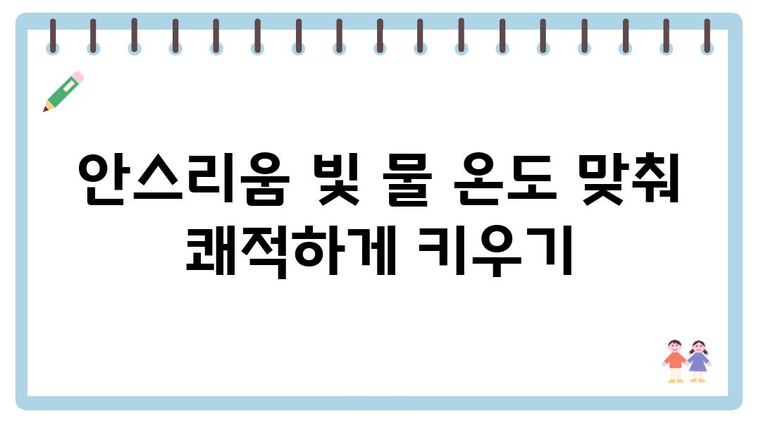 안스리움 빛 물 온도 맞춰 쾌적하게 키우기