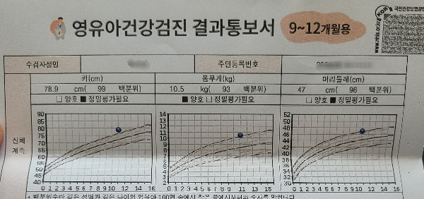12개월