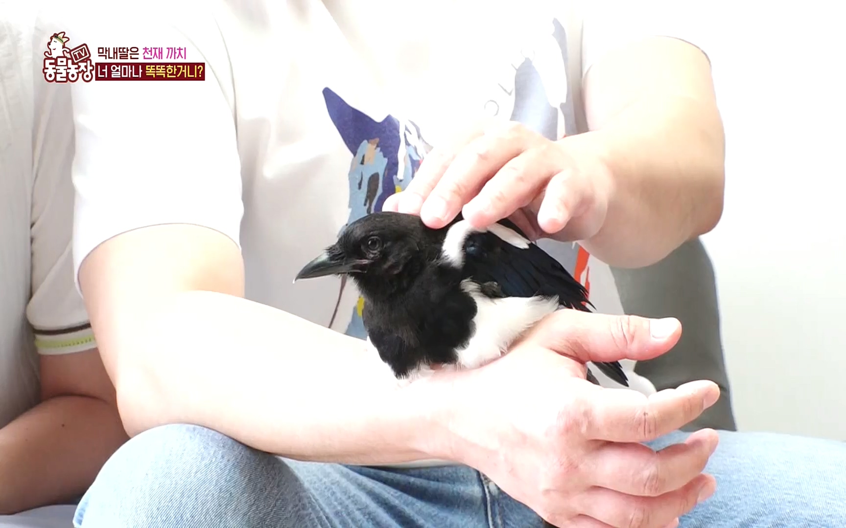 TV 동물농장.E1089.221002p.H264-F1RST.mp4_20221002_181928.919.jpg