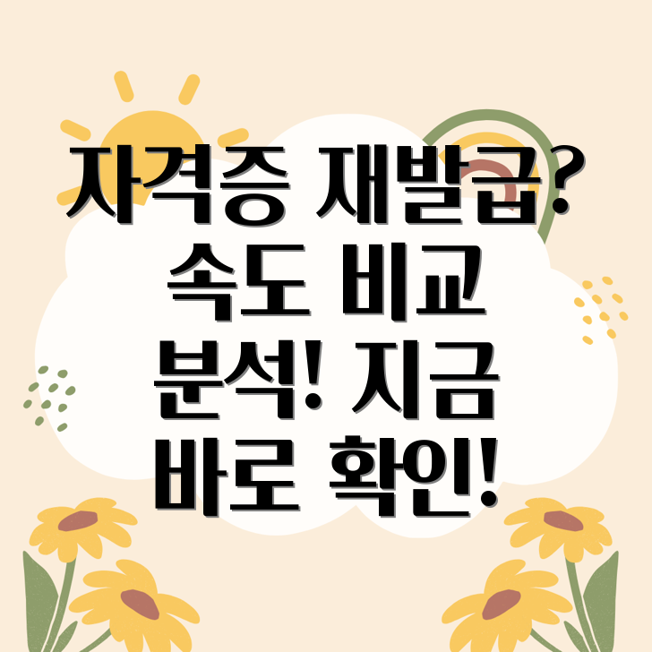 자격증 재발급