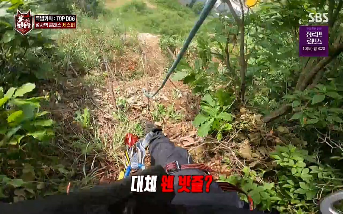 TV 동물농장.E1085.220905p-NEXT.mp4_20220904_173553.117.jpg