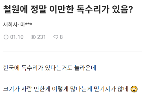 철원에 정말 이만한 독수리가 있음?
새회사·마***
01.10
2318
한국에 독수리가 있다는거도 놀라운데
크기가 사람 만한게 이렇게 많다는게 믿기지가 않네